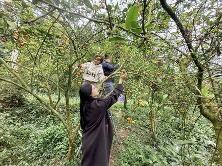 Đồng hành cùng Doanh nghiệp