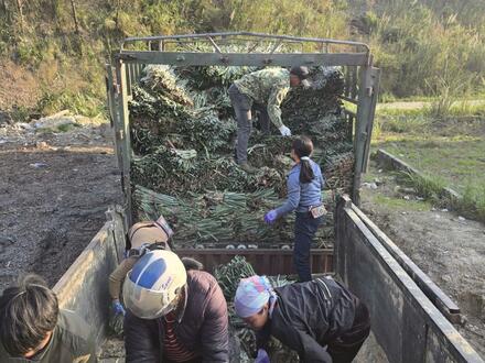 Kinh tế - Chính trị