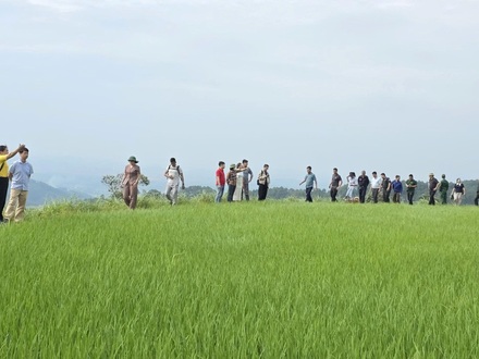 Văn Hoá xã Hội