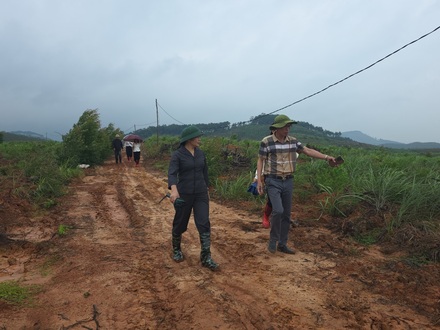 Kinh tế - Chính trị